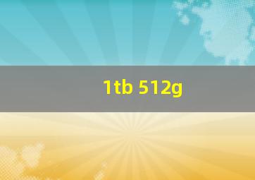 1tb 512g